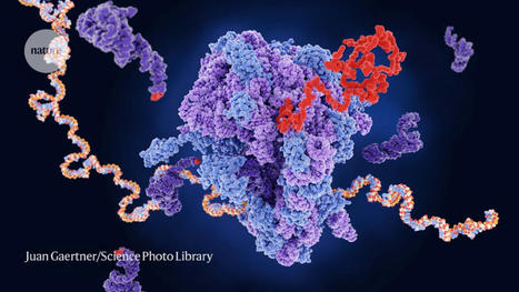 How scientists are hacking the genetic code to give proteins new powers | SynBioFromLeukipposInstitute | Scoop.it