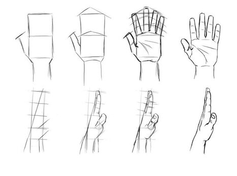 Hand Drawing Reference Guide | Drawing References and Resources | Scoop.it