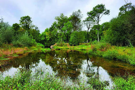 Biodiversité : ce que contient la nouvelle stratégie nationale | Veille juridique du CDG13 | Scoop.it