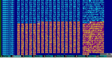 Monti Ransomware Returns with New Linux Variant and Enhanced Evasion Tactics | ICT Security-Sécurité PC et Internet | Scoop.it