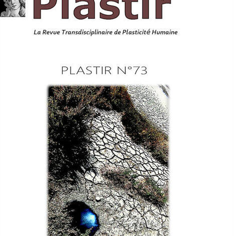 PLASTIR, La Revue Transdisciplinaire de Plasticité Humaine n°73 | Les Livres de Philosophie | Scoop.it