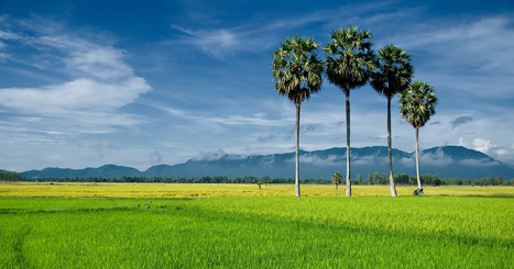 Adaptation : le Ciat et le Cirad présentent un outil d'évaluation de la vulnérabilité climatique | Vers la transition des territoires ! | Scoop.it