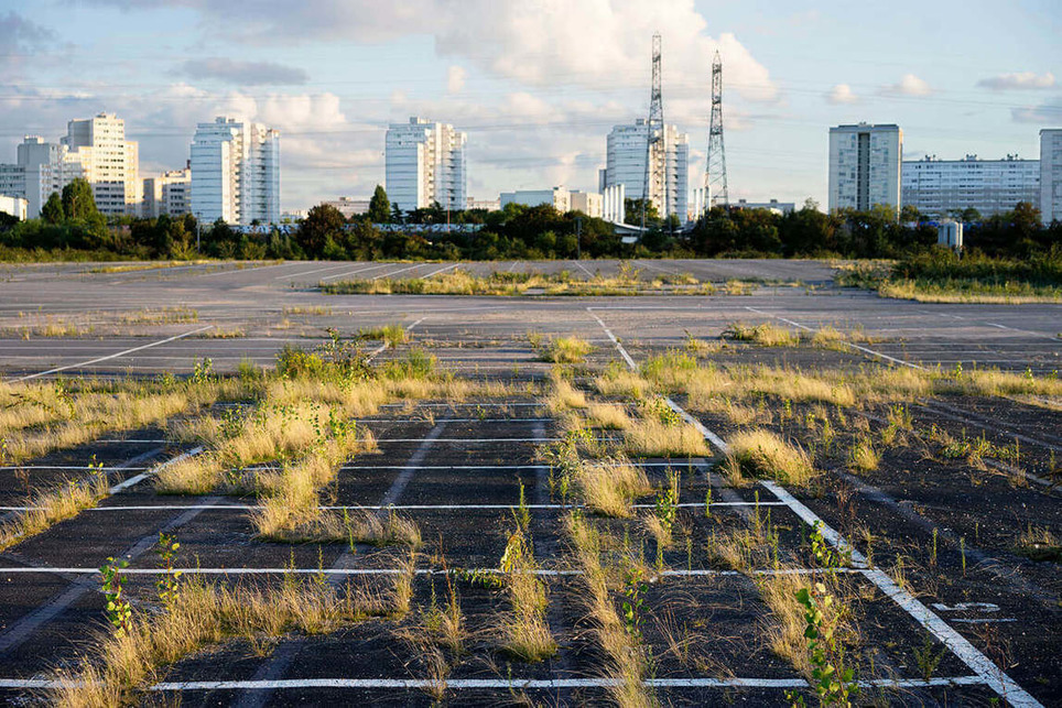 Friches urbaines - qu’en est-il de la biodiversité floristique? | Veille territoriale AURH | Scoop.it