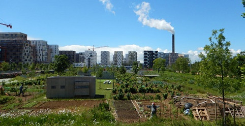 Publication CEREMA - Fiche pratique - La nature comme élément du projet d’aménagement urbain | Veille territoriale AURH | Scoop.it