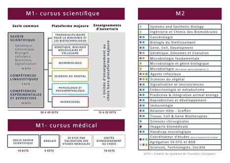 Biologie Santé | Université Paris Saclay | Life Sciences Université Paris-Saclay | Scoop.it