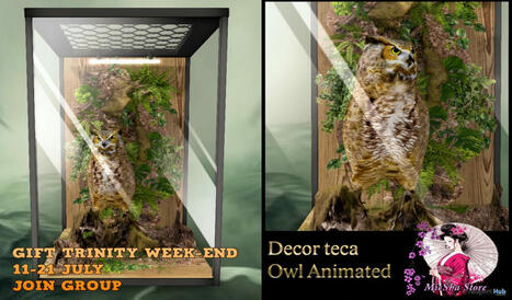 Animated Teca Owl Trinity Weekend Event July 2024 Group Gift by MICSHA | Teleport Hub - Second Life Freebies | Teleport Hub | Scoop.it