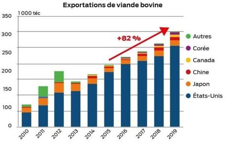 Bovin : le bond du Mexique | Actualité Bétail | Scoop.it