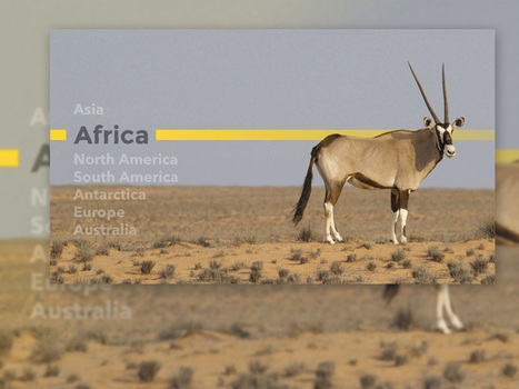 Animated Heat Distortion Effects with WebGL | Codrops | Web GL | Scoop.it