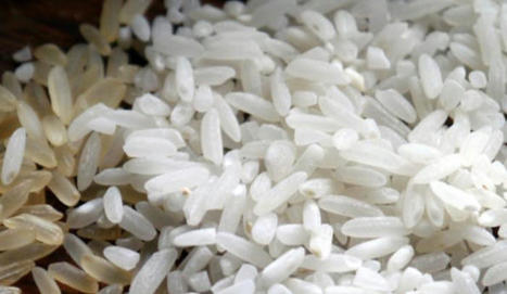 CHILE: El Arroz Es Uno de los Cultivos Que Más Agua Consume: Innovación Reduce 50% su Requerimiento Hídrico por FIA, Chile | SRI Global News: February - April 2024 **sririce -- System of Rice Intensification | Scoop.it