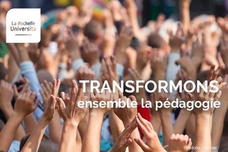 L'approche par compétences au service de la transformation pédagogique | Formation : Innovations et EdTech | Scoop.it