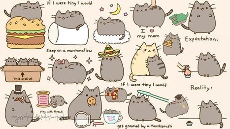 Cat wallpaper pusheen lying sitting | Drawing References and Resources | Scoop.it