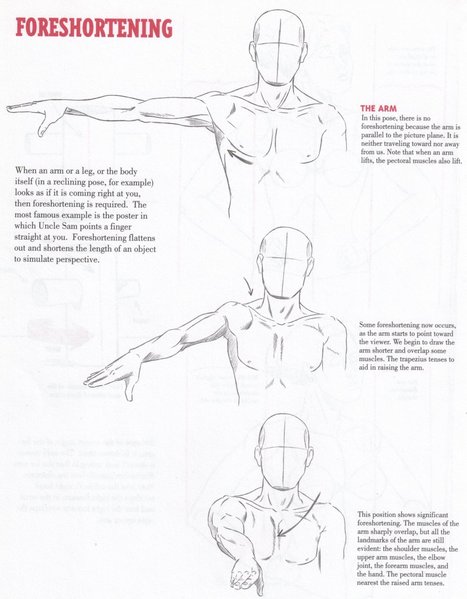 References and Practice on Drawing- Foreshortening Tutorial | Drawing References and Resources | Scoop.it
