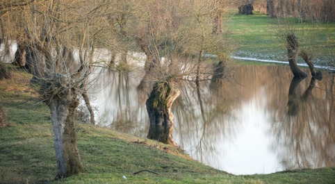 Activité agricole - prise en compte dans la prévention des inondations | Veille territoriale AURH | Scoop.it