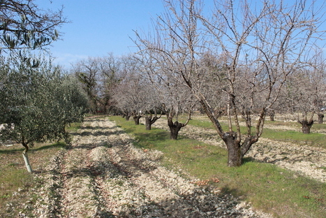 Avec l’agroécologie, ce qui est bon pour la biodiversité l’est pour le climat | Vers la transition des territoires ! | Scoop.it