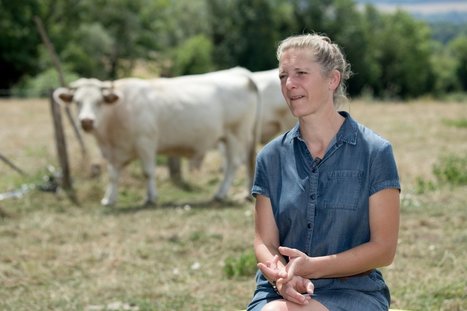 L'abattage des animaux à la ferme, une conception alternative de la filière viande | Actualité Bétail | Scoop.it