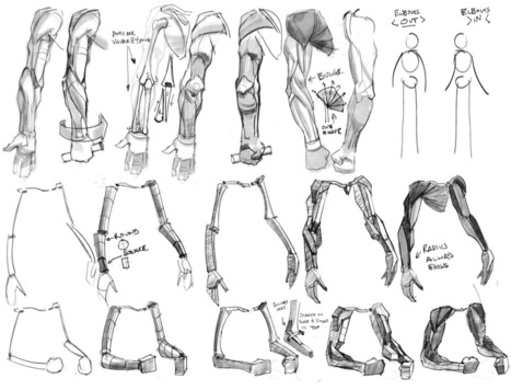 Arms Drawing Reference Guide | Drawing References and Resources | Scoop.it