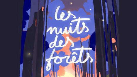 4 forêts vosgiennes s’engagent avec Les Nuits des Forêts ! | Vosges Télévision | La SELECTION du Web | CAUE des Vosges - www.caue88.com | Scoop.it