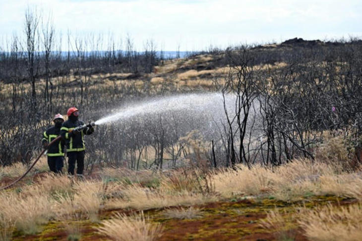 2024 pourrait être « le coup de grâce » pour nos forêts