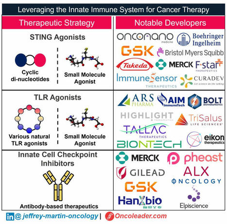 Paul Peter Tak, MD PhD FMedSci on LinkedIn: There are other ways to therapeutically stimulate intratumoral innate… | Immunology and Biotherapies | Scoop.it