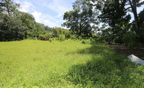 En Polynésie, un « village communautaire » dédié aux personnes sans abri en construction  | Revue Politique Guadeloupe | Scoop.it