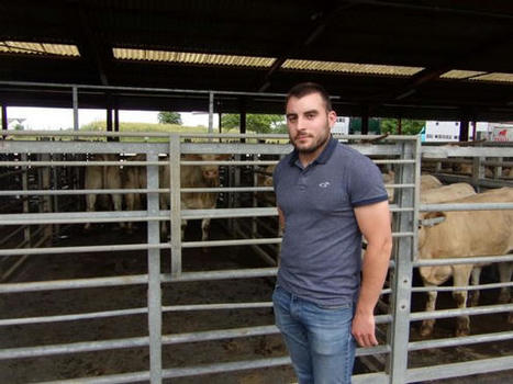 Des ventes de bovins par vidéo à Moulins-Engilbert pour éviter le stress des animaux | Actualité Bétail | Scoop.it