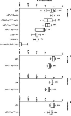 Inducible Resistance to Maize Streak Virus | Virology News | Scoop.it