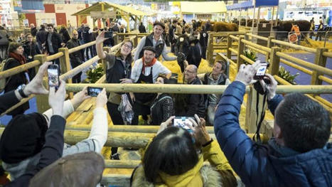 Images et représentations de l'agriculture dans la société française d'aujourd'hui | Elevage et société | Scoop.it