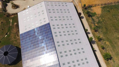 Production d’énergie solaire sur les bâtiments d'élevage | Elevage et environnement | Scoop.it