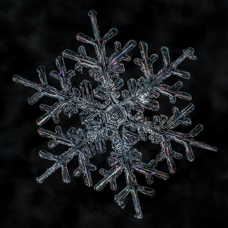 Barrie photographer captures snowflakes' unique beauty | Toronto Star | Mobile Photography | Scoop.it