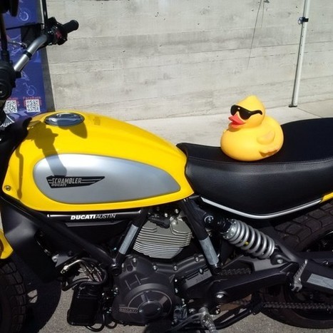 DUCK DERBY Ducati Scrambler for Boys & Girls Clubs | Ductalk: What's Up In The World Of Ducati | Scoop.it