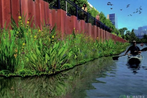 Chicago met en place un jardin flottant pour régénérer la vie sauvage de sa rivière | Veille territoriale AURH | Scoop.it