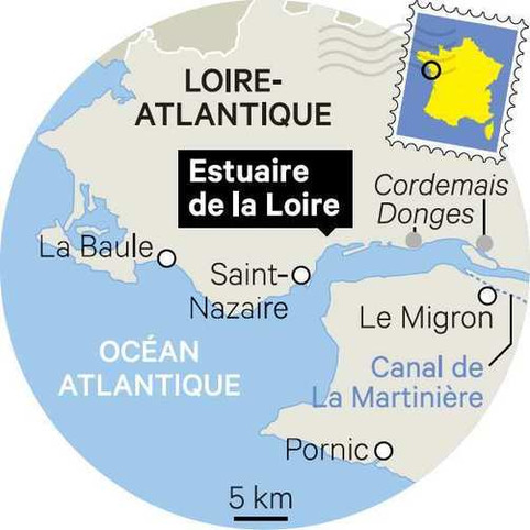 L'estuaire de la Loire - une cogestion d'équilibriste pour un espace fragile | Veille territoriale AURH | Scoop.it