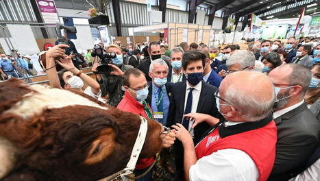 Space: le ministre de l’Agriculture passe la journée avec les éleveurs | Actualité Bétail | Scoop.it