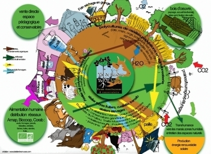 Le cercle vertueux de l'agroforesterie et d'une ferme diversifiée | Paysage - Agriculture | Scoop.it