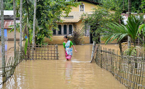Assam Flood Situation Worsens, Death Count Rises To 44, Over 2.6 Lakh Affected | Funerals Today | Scoop.it