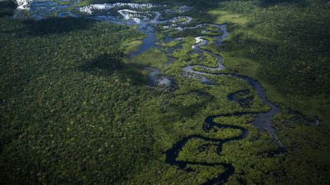 Les huit pays d'Amazonie au chevet de la plus grande forêt tropicale du monde | La veille technologique du CRT Morlaix | Scoop.it