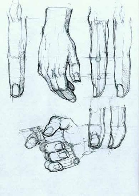 Hand drawing reference | Drawing References and Resources | Scoop.it