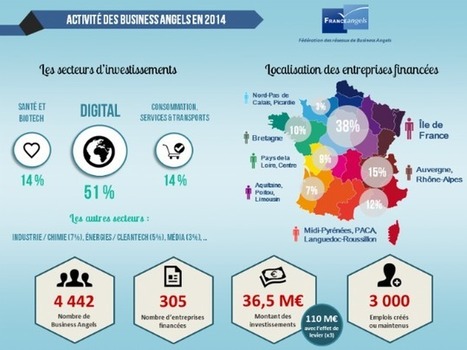 Les business angels ont financé plus de 300 entreprises en 2014 | Levée de fonds & Best practice Startups | Scoop.it