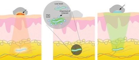 Five important biomedical technology breakthroughs | KurzweilAI | Longevity science | Scoop.it