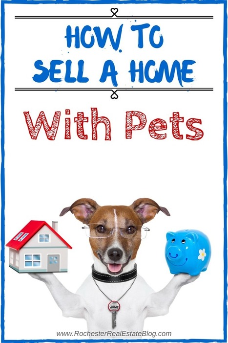 Selling A Home With Pets | Real Estate Articles Worth Reading | Scoop.it