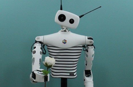 Le robot français Reachy peut-il faire mieux que Pepper ? | Startup technologique - Technology startup | Scoop.it