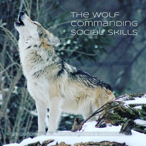 Elke Barbara Bachler on Instagram: “The Wolf Commanding Social Skills” | Biognosis | Scoop.it