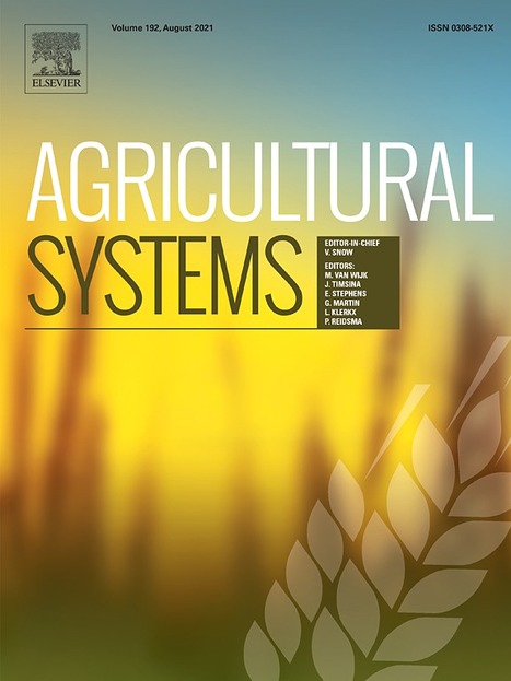 WEST AFRICA: Is the System of Rice Intensification (SRI) Pro Poor? Labour, Class and Technological Change in West Africa | SRI Global News: February - April 2024 **sririce -- System of Rice Intensification | Scoop.it