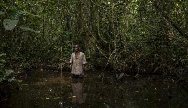 Les tourbières du Congo, une bombe climatique à retardement