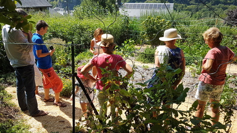 Avec le SMECTOM cultivez (naturellement) votre jardin ... | Vallées d'Aure & Louron - Pyrénées | Scoop.it