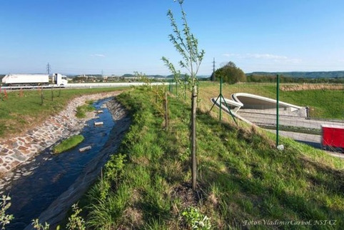 Ces techniques qui permettent de réintégrer la nature en ville | Veille territoriale AURH | Scoop.it