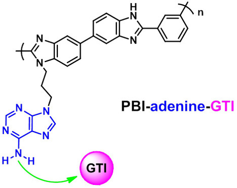 API Degenotoxification with Adenine-Functionalized Polymers | iBB | Scoop.it