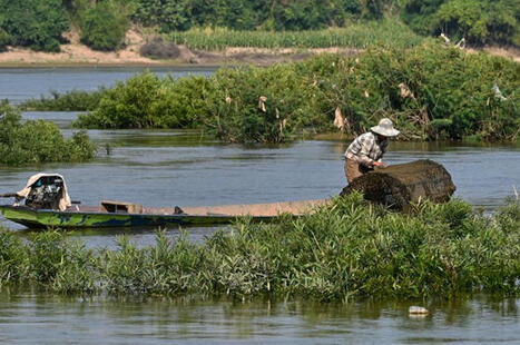 Chemical Dumping in Lao River Leads to Water Contamination and Fish Loss / le 19.07.2024 | Pollution accidentelle des eaux par produits chimiques | Scoop.it
