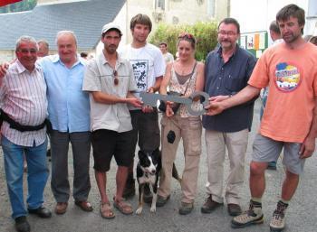 Aulon. La 11e Fête de la transhumance - La Dépêche | Vallées d'Aure & Louron - Pyrénées | Scoop.it