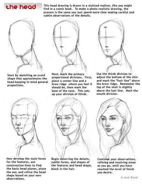 Human Head Drawing Reference Guide | Drawing References and Resources | Scoop.it